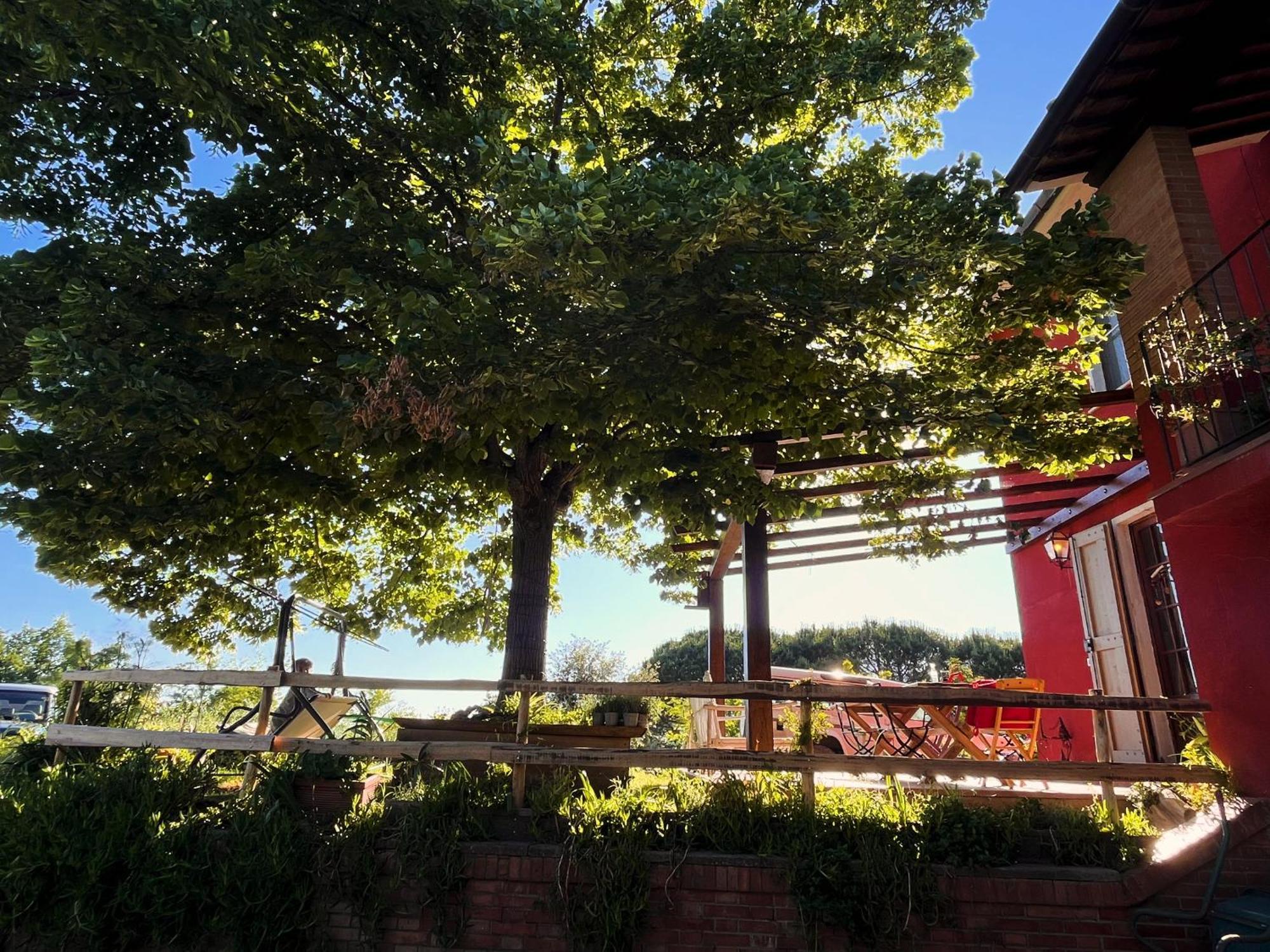 Podere Orzale Hospitality & Quarter Horses Usigliano Buitenkant foto